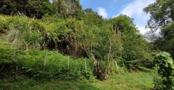 Chalets/Casas | Castro-Urdiales  | GENERAL MIOÑO | Mioño-Santullán