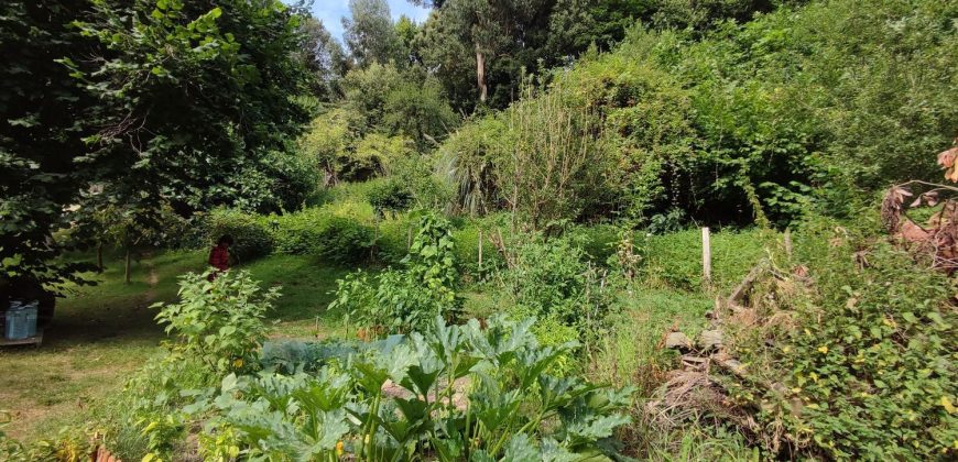 Chalets/Casas | Castro-Urdiales  | GENERAL MIOÑO | Mioño-Santullán