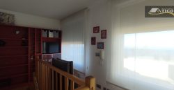 Chalets/Casas | Castro-Urdiales  | NICOLAS TORRE | Cotolino