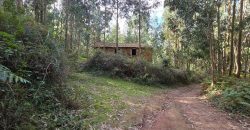 Chalets/Casas | Castro-Urdiales  | Barrio Cerdigo | Oriñón-Allendagua