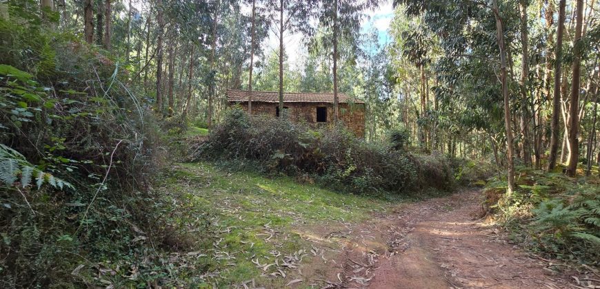 Chalets/Casas | Castro-Urdiales  | Barrio Cerdigo | Oriñón-Allendagua