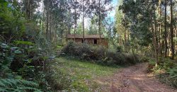 Chalets/Casas | Castro-Urdiales  | Barrio Cerdigo | Oriñón-Allendagua