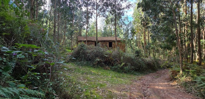 Chalets/Casas | Castro-Urdiales  | Barrio Cerdigo | Oriñón-Allendagua