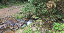 Chalets/Casas | Castro-Urdiales  | Barrio Cerdigo | Oriñón-Allendagua