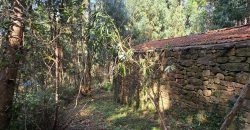 Chalets/Casas | Castro-Urdiales  | Barrio Cerdigo | Oriñón-Allendagua