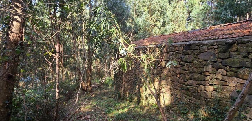 Chalets/Casas | Castro-Urdiales  | Barrio Cerdigo | Oriñón-Allendagua