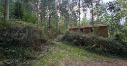 Chalets/Casas | Castro-Urdiales  | Barrio Cerdigo | Oriñón-Allendagua