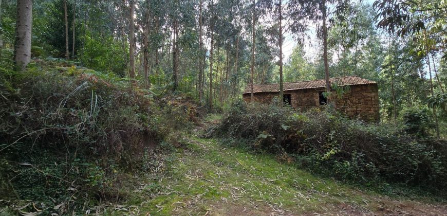 Chalets/Casas | Castro-Urdiales  | Barrio Cerdigo | Oriñón-Allendagua