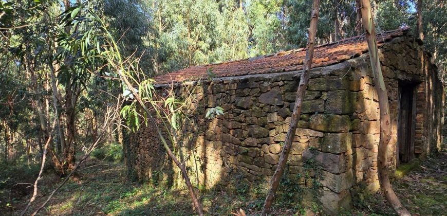 Chalets/Casas | Castro-Urdiales  | Barrio Cerdigo | Oriñón-Allendagua