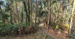 Chalets/Casas | Castro-Urdiales  | Barrio Cerdigo | Oriñón-Allendagua