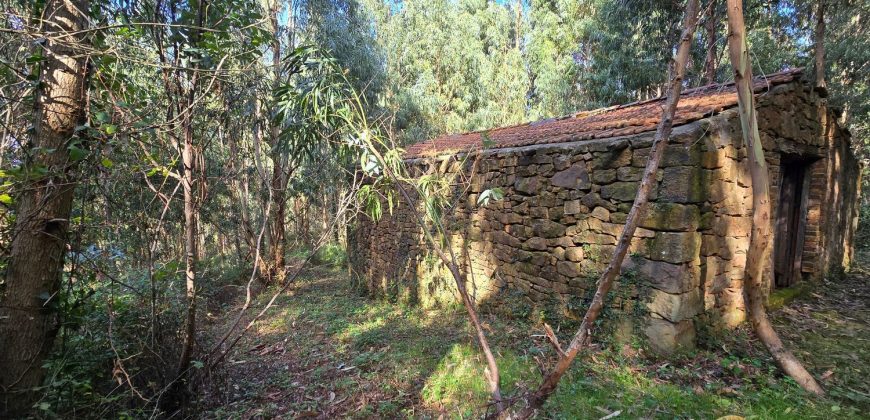Chalets/Casas | Castro-Urdiales  | Barrio Cerdigo | Oriñón-Allendagua