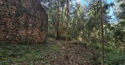 Chalets/Casas | Castro-Urdiales  | Barrio Cerdigo | Oriñón-Allendagua