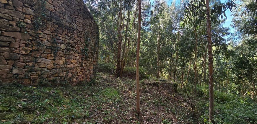 Chalets/Casas | Castro-Urdiales  | Barrio Cerdigo | Oriñón-Allendagua